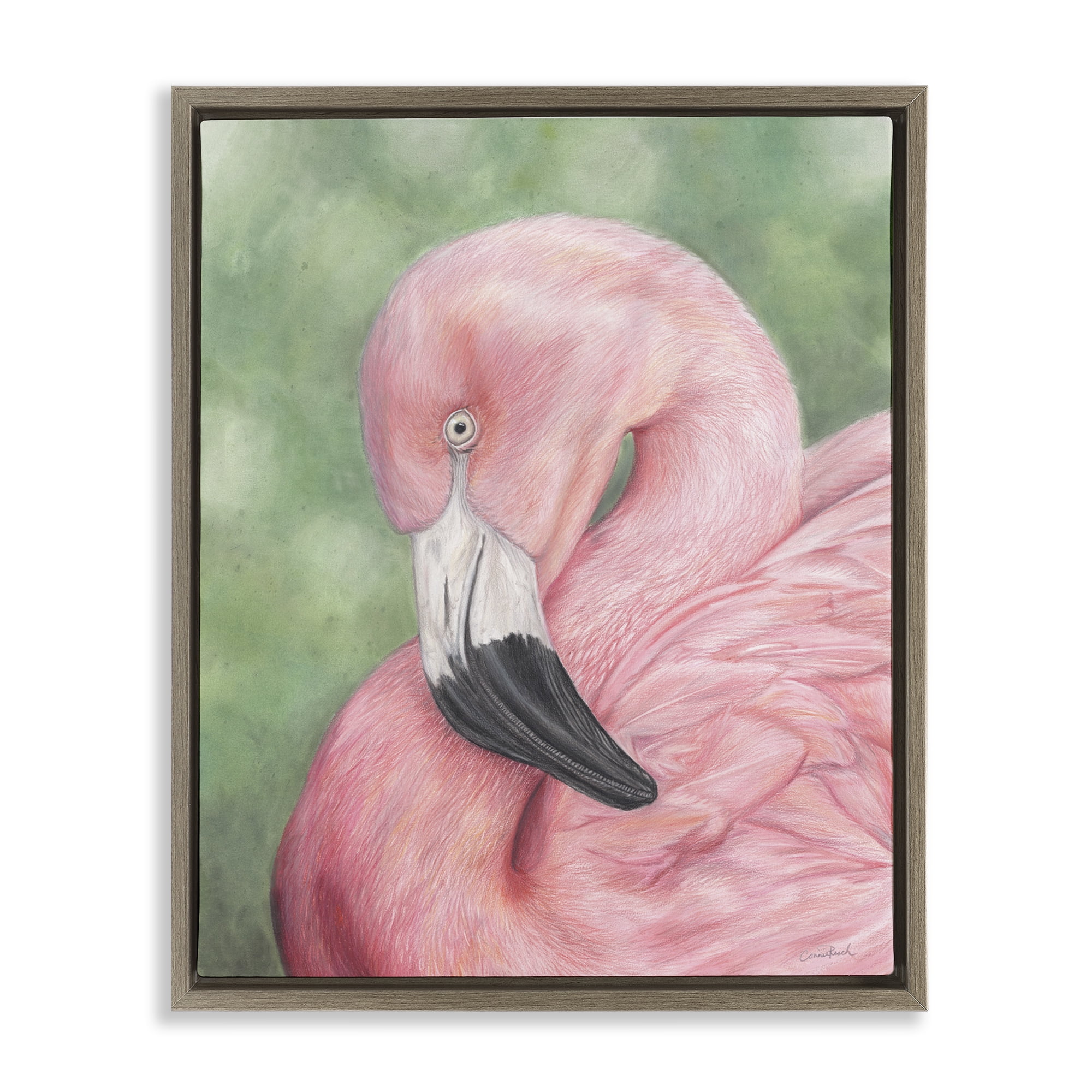 Stupell Industries Blushing Flamingo Visage Animals & Insects Painting Brown Floater Framed Canvas Art Print Wall Art, 25 x 31