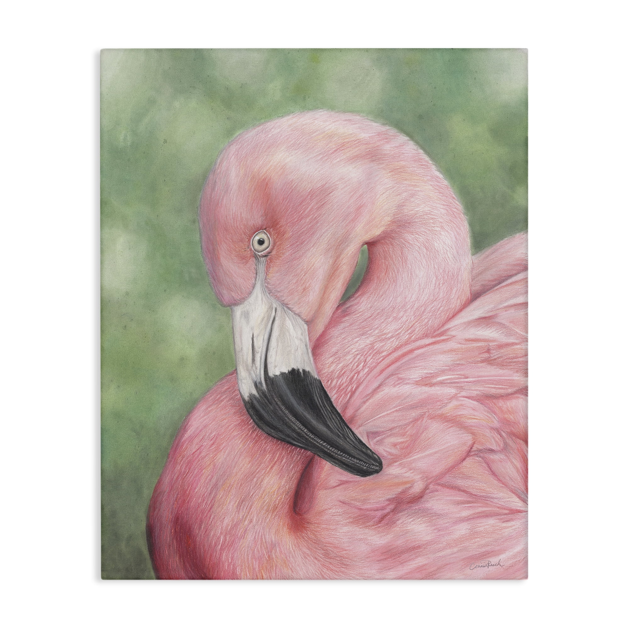 Stupell Industries Blushing Flamingo Visage Animals & Insects Painting Gallery Wrapped Canvas Art Print Wall Art, 24 x 30