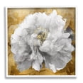 thumbnail image 1 of Stupell Industries Blushing Peony Flower Modern Blossoming Floral Photography, 17 x 17,Design by Shawna Sullivan, 1 of 5