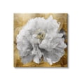 thumbnail image 1 of Stupell Industries Blushing Peony Flower Modern Blossoming Floral Photography, 24 x 24,Design by Shawna Sullivan, 1 of 5