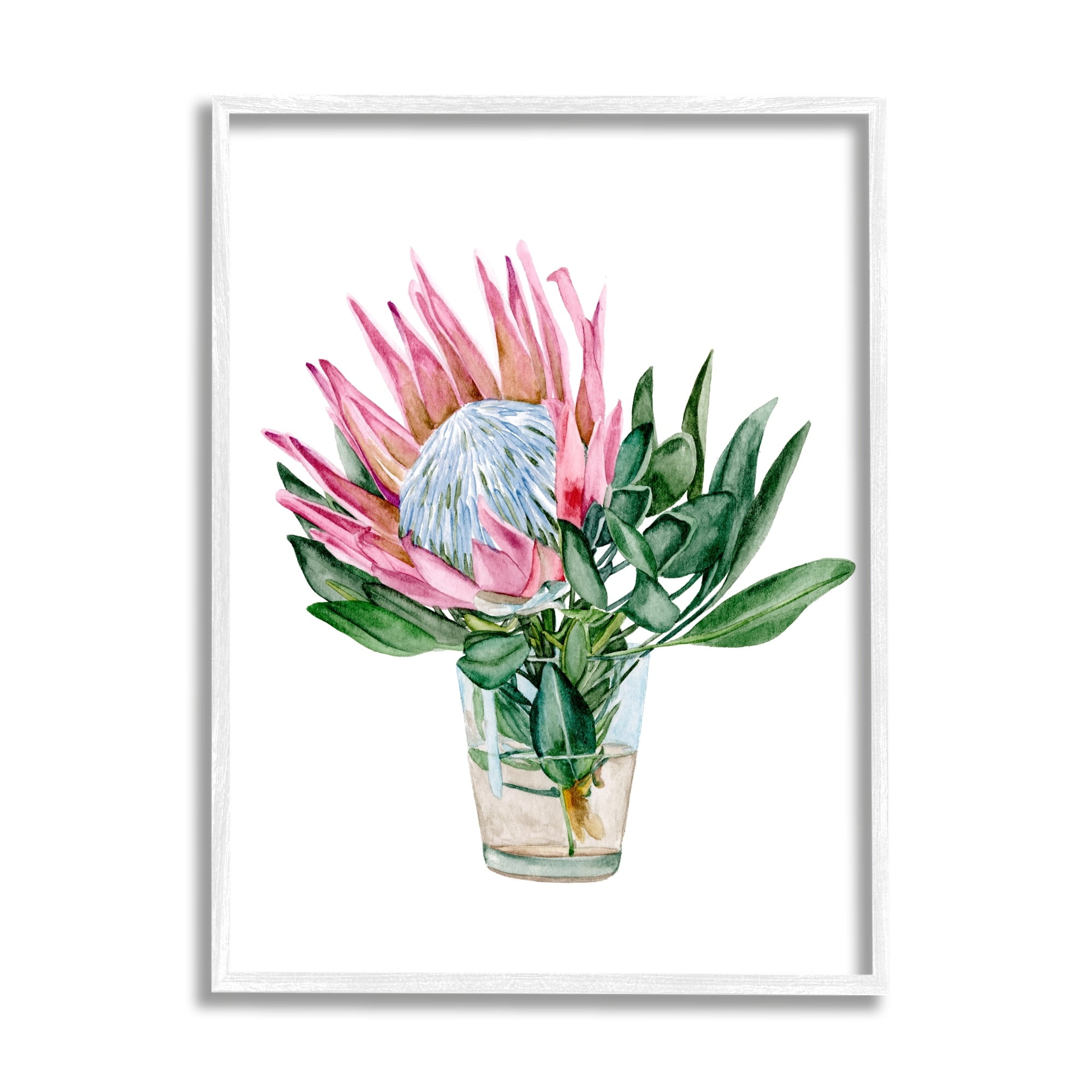 Blushing Protea Flower White Wood Grain Framed Print, 11 x 14