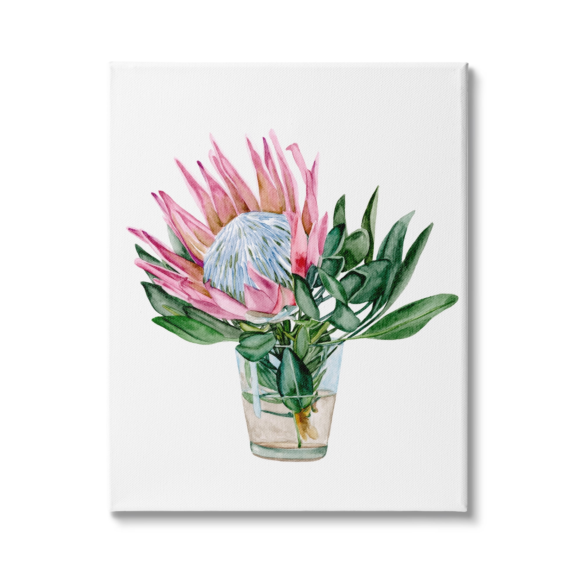 Stupell Industries Blushing Protea Flower Glass Watercolor Flower Still Life, 30 x 40, Design by Melissa Wang