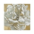 thumbnail image 1 of Stupell Industries Blushing White Magnolia Flower Abstract Floral over Gold, 36 x 36,Design by Carol Robinson, 1 of 5