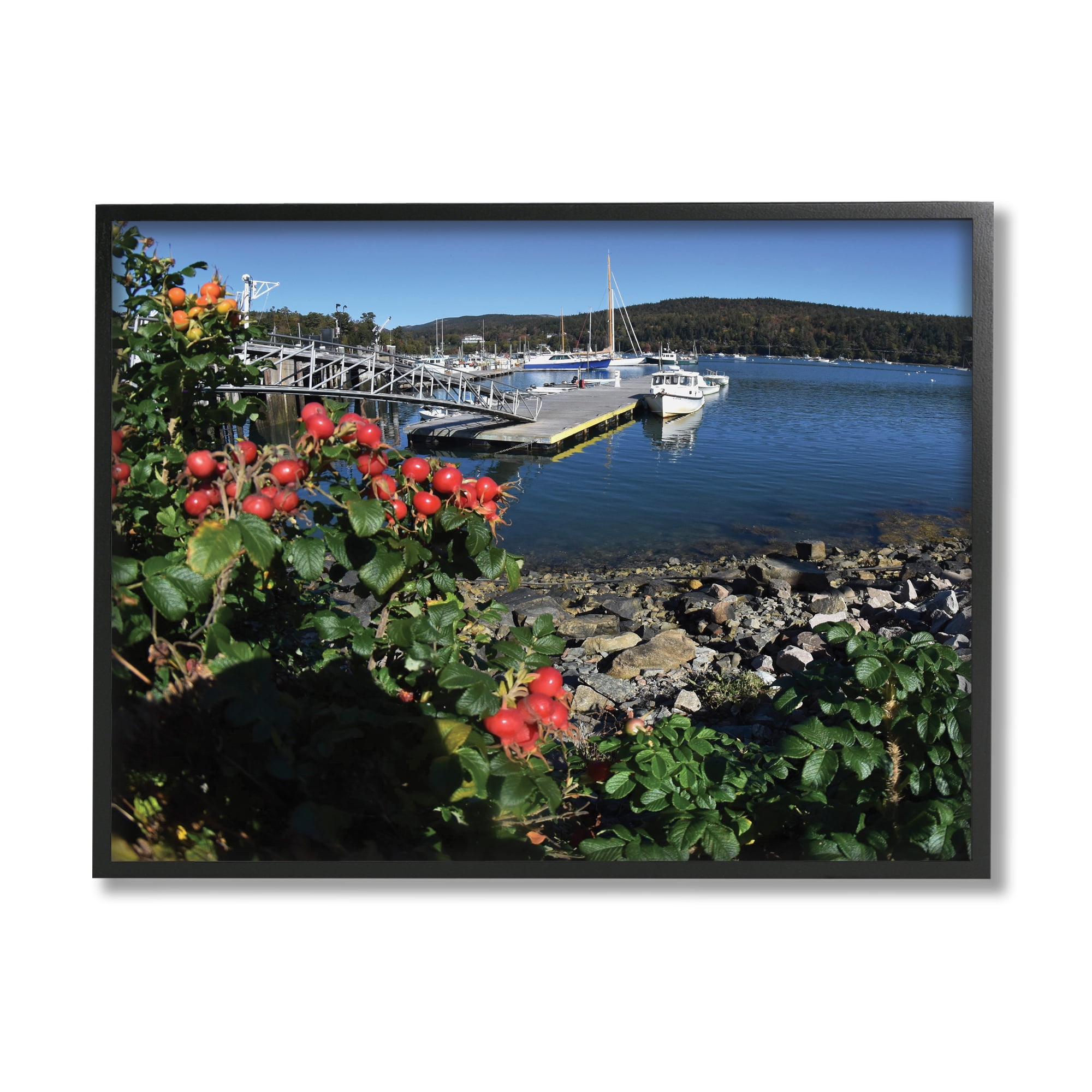 Stupell Industries Boat Harbor Photography Nature Photography Black Framed Art Print Wall Art, 20 x 16