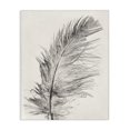 thumbnail image 1 of Stupell Industries Bohemian Boho Windswept Feather Canvas Art, 16 x 20, by Pernille Folcarelli, 1 of 8
