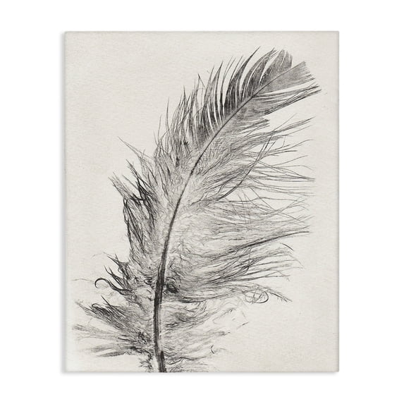 Stupell Industries Bohemian Boho Windswept Feather Canvas Art, 16 x 20, by Pernille Folcarelli