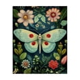 thumbnail image 1 of Stupell Industries Bohemian Green & Pink Moth Pattern Canvas Art, 16 x 20, by The Dutch Lady, 1 of 8