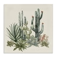 thumbnail image 1 of Stupell Industries Bohemian Mojave Green Succulents Canvas Art, 17 x 17, by Nan, 1 of 7