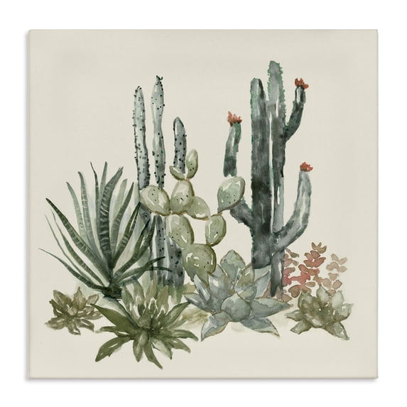 Stupell Industries Bohemian Mojave Green Succulents Canvas Art, 17 x 17, by Nan