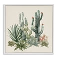 thumbnail image 1 of Stupell Industries Bohemian Mojave Green Succulents White Framed Giclee Art, 24 x 24, by Nan, 1 of 7