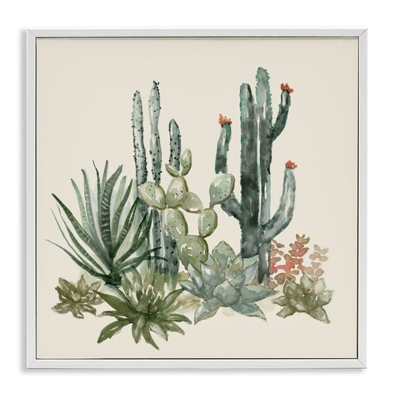 Stupell Industries Bohemian Mojave Green Succulents White Framed Giclee Art, 24 x 24, by Nan