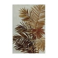 thumbnail image 1 of Stupell Industries Bohemian Natural Palm Leaves Canvas Art, 16 x 24, by Jacob Q, 1 of 8