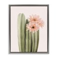 thumbnail image 1 of Stupell Industries Bohemian Pink Flower on Cactus Gray Floating Frame Canvas Art, 25 x 31, by Sisi and Seb, 1 of 7