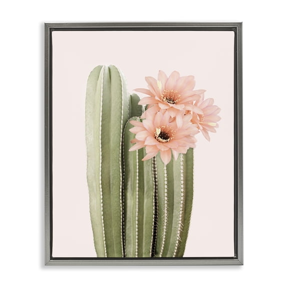 Stupell Industries Bohemian Pink Flower on Cactus Gray Floating Frame Canvas Art, 25 x 31, by Sisi and Seb