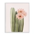 thumbnail image 1 of Stupell Industries Bohemian Pink Flower on Cactus White Framed Giclee Art, 16 x 20, by Sisi and Seb, 1 of 7