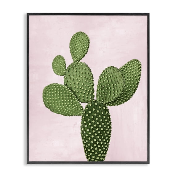 Stupell Industries Bohemian Prickly Pear over Pastel Pink Black Framed Giclee Art, 11 x 14, by Mia Jensen