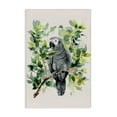 thumbnail image 1 of Stupell Industries Bohemian Tropical Perched Parrot Canvas Art, 24 x 36, by LSR Design Studio, 1 of 8