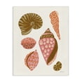 thumbnail image 1 of Stupell Industries Bohemian Tropical Shell Collection Canvas Art, 16 x 20, by Yvette St. Amant, 1 of 8