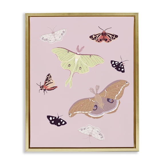 Stupell Industries Bohemian Varied Moth Pattern Gold Floating Frame Canvas Art, 25 x 31, by Sweet Melody Designs