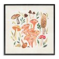 thumbnail image 1 of Stupell Industries Bohemian Varied Mushrooms & Snail Black Framed Giclee Art, 17 x 17, by Annie Warren, 1 of 8