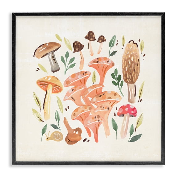 Stupell Industries Bohemian Varied Mushrooms & Snail Black Framed Giclee Art, 17 x 17, by Annie Warren