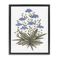 thumbnail image 1 of Stupell Industries Bohemian Where Wild Flowers Bloom Black Floating Frame Canvas Art, 17 x 21, by Cecilia Battaini, 1 of 8