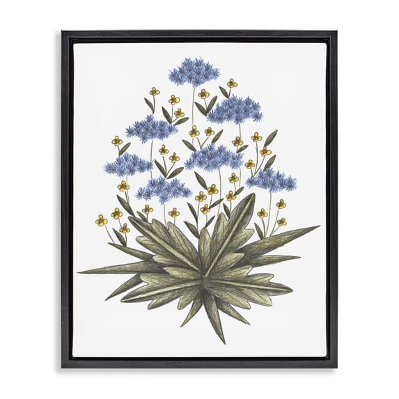 Stupell Industries Bohemian Where Wild Flowers Bloom Black Floating Frame Canvas Art, 17 x 21, by Cecilia Battaini