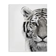 thumbnail image 1 of Stupell Industries Bohemian White Tiger Close Up Black and White Photography Canvas Art, 16 x 20, by Design Fabrikken, 1 of 7