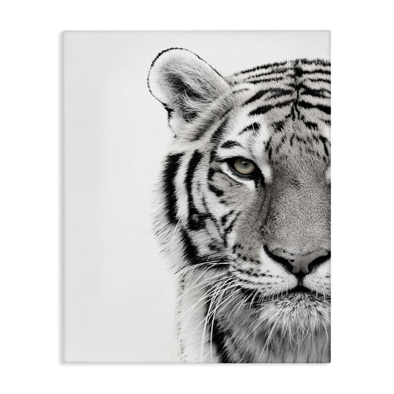 Stupell Industries Bohemian White Tiger Close Up Black and White Photography Canvas Art, 16 x 20, by Design Fabrikken