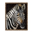 thumbnail image 1 of Stupell Industries Bohemian Zebra with Geometric Border Canvas Art, 30 x 40, by Lucca Sheppard, 1 of 8