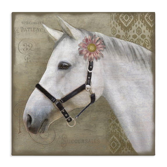 Stupell Industries Cottage Boho Barnyard Horse Canvas Art, 17 x 17, by Suzanne Nicoll