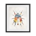 thumbnail image 1 of Stupell Industries Eclectic Boho Colorful Beetle Black Framed Print Under Glass, 13 x 16, by Kim Allen, 1 of 8