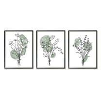 Stupell Industries Boho Flower Herb Bunches Graphic Art Black Framed Art Print Wall Art, Set of 3, Design by JJ Design House LLC