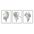 thumbnail image 1 of Stupell Industries Boho Flower Herb Bunches Graphic Art Gray Framed Art Print Wall Art, Set of 3, Design by JJ Design House LLC, 1 of 7