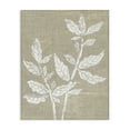 thumbnail image 1 of Stupell Industries Boho Leaves on Natural Pattern Floral Painting Wrapped Canvas Canvas Art Print Wall Art, 16 x 20, 1 of 7