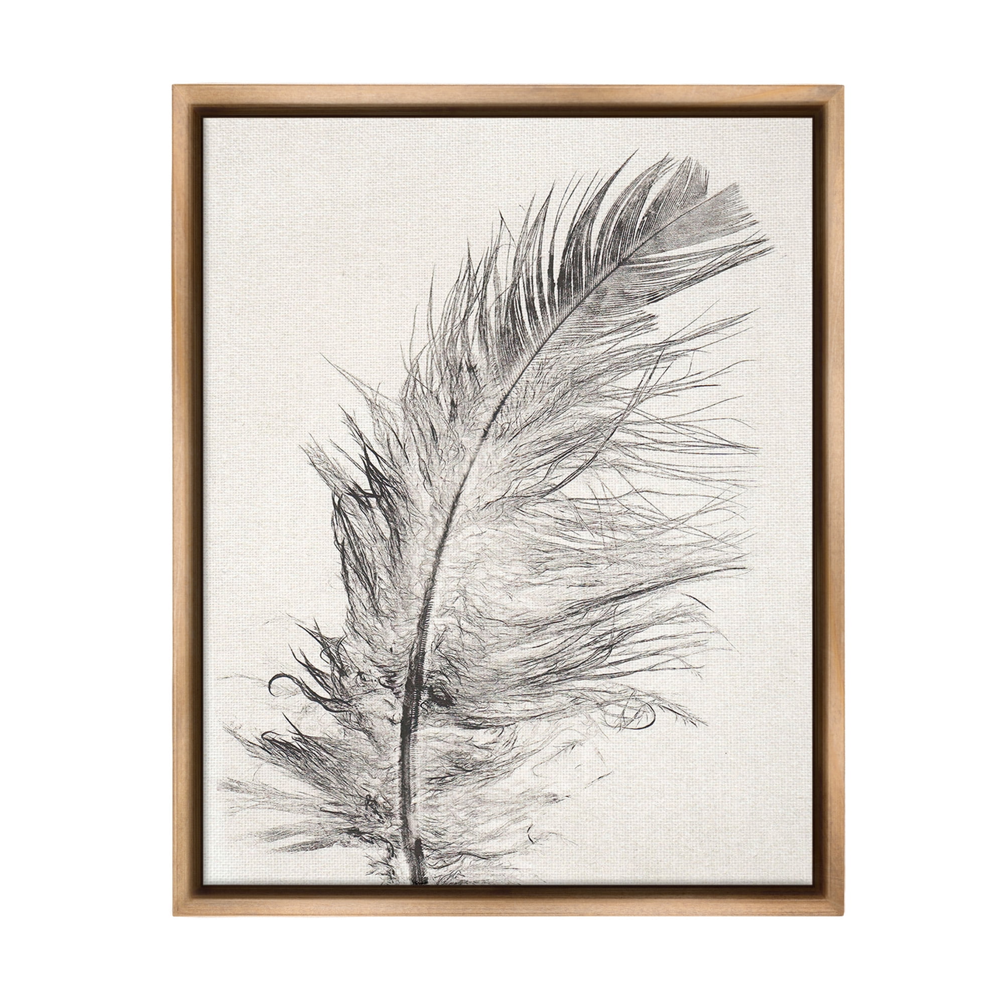 Stupell Industries Boho Windswept Feather Animals & Insects Painting Brown Floater Framed Canvas Art Print Wall Art, 25 x 31