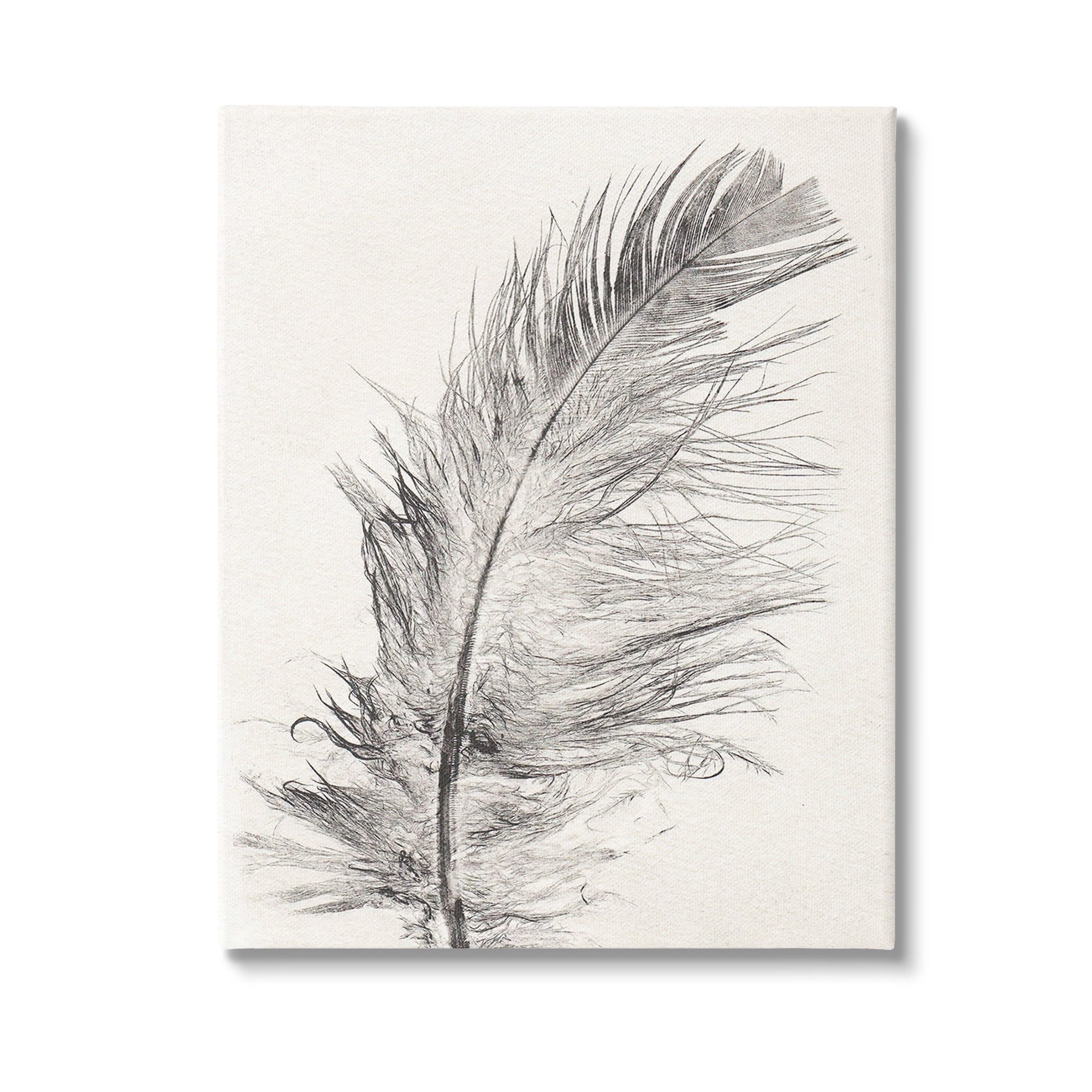 Stupell Industries Boho Windswept Feather Animals & Insects Painting Gallery Wrapped Canvas Art Print Wall Art, 16 x 20