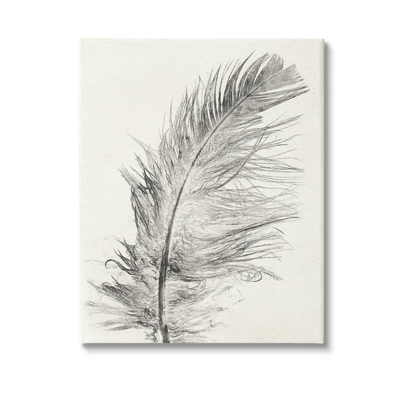 Stupell Industries Boho Windswept Feather Animals & Insects Painting Gallery Wrapped Canvas Art Print Wall Art, 16 x 20