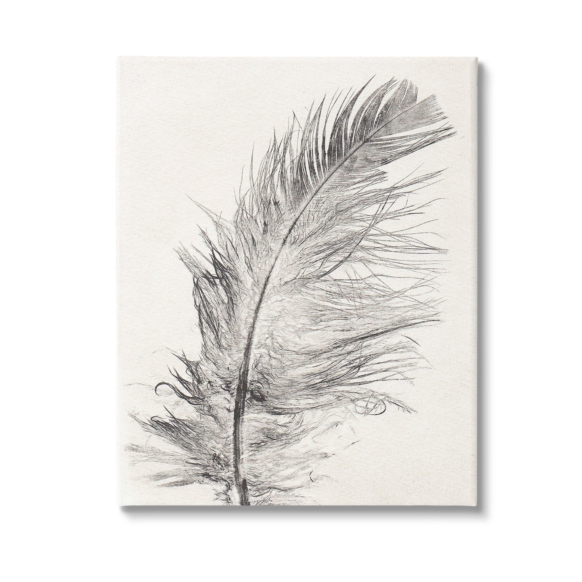 Stupell Industries Boho Windswept Feather Animals & Insects Painting Gallery Wrapped Canvas Art Print Wall Art, 36 x 48