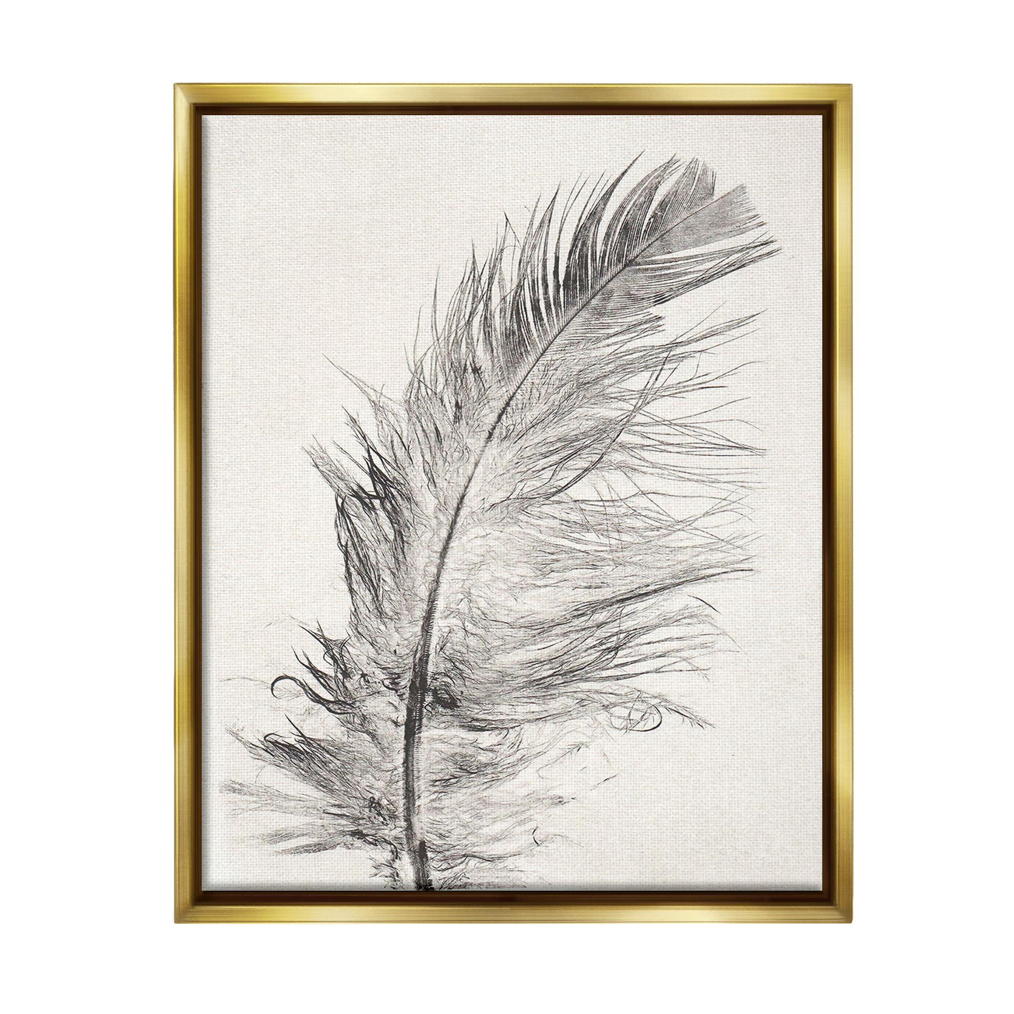Stupell Industries Boho Windswept Feather Animals & Insects Painting Gold Floater Framed Canvas Art Print Wall Art, 17 x 21