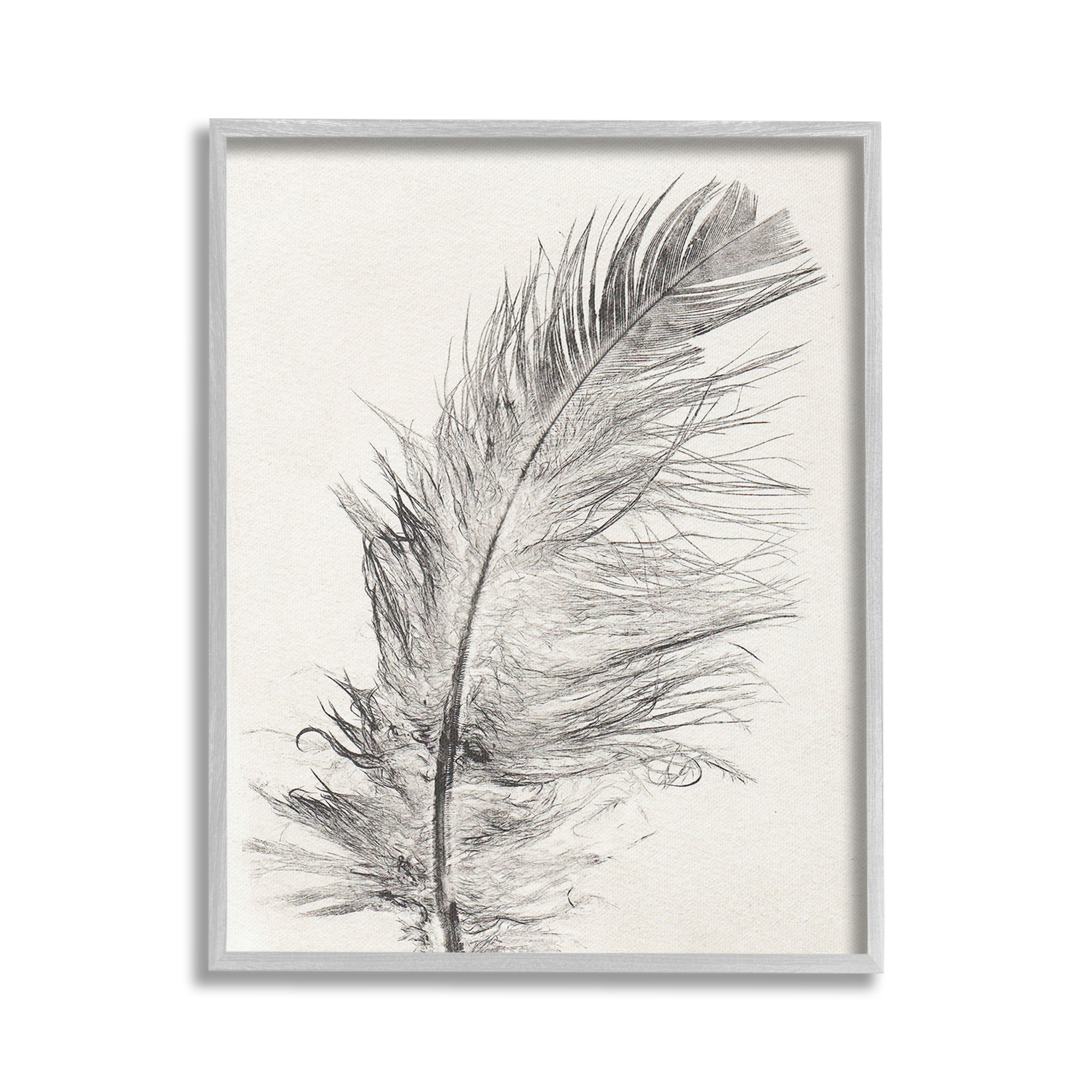 Stupell Industries Boho Windswept Feather Animals & Insects Painting Gray Framed Art Print Wall Art, 16 x 20