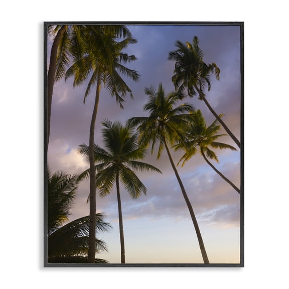 Stupell Industries Bohol Island Palms Black Framed Giclee Art design by Danita Delimont, 20 x 16