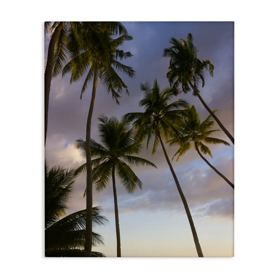 Stupell Industries Bohol Island Palms Canvas Wall Art design by Danita Delimont, 48 x 36