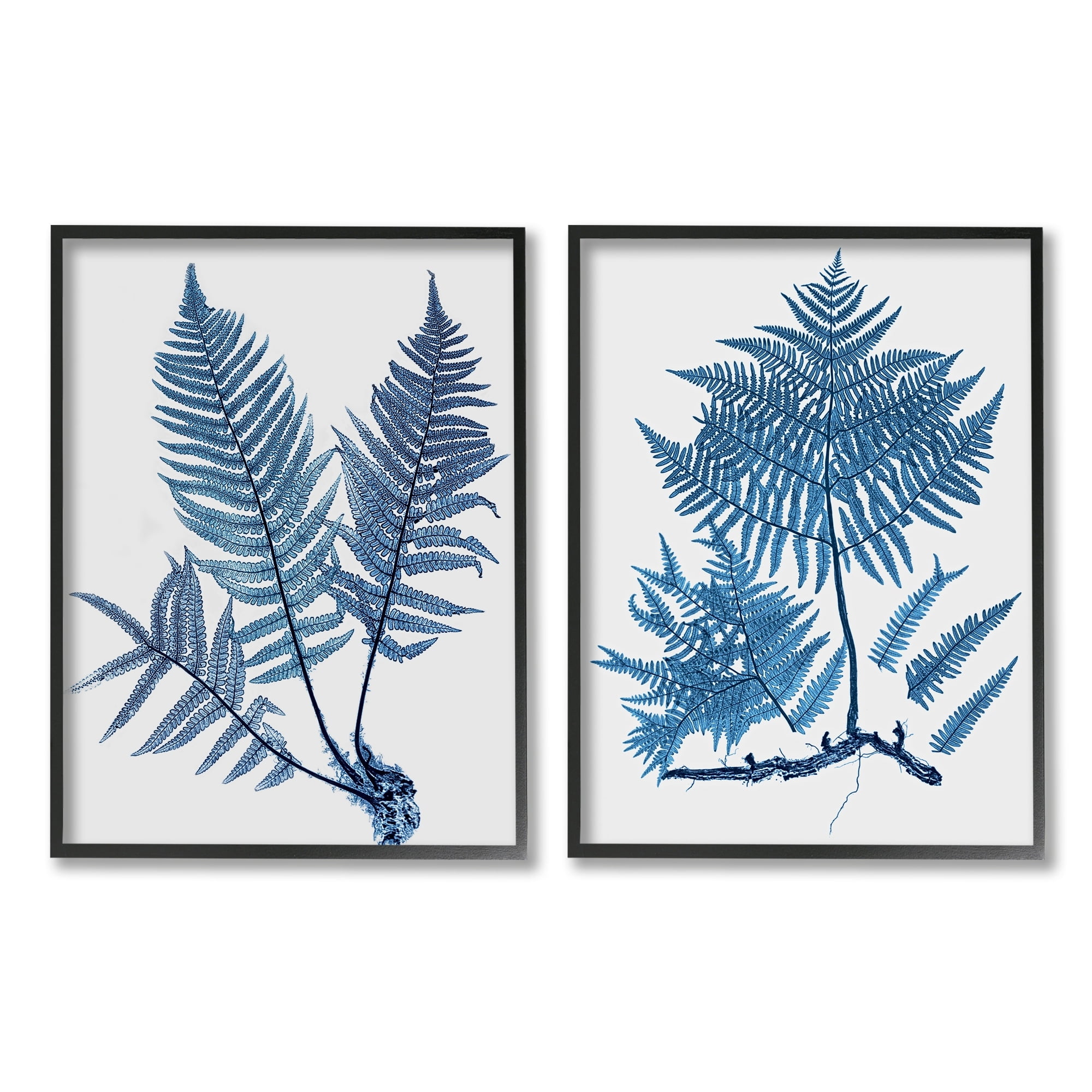 Stupell Industries Bold Blue Ferns Woodland Nature Botanical & Floral Painting Black Framed Art Print Wall Art, Set of 2