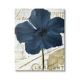 thumbnail image 1 of Stupell Industries Bold Blue Flower Petals Vintage Butterfly Script Graphic Art Gallery Wrapped Canvas Print Wall Art, Design by Mindy Sommers, 1 of 7