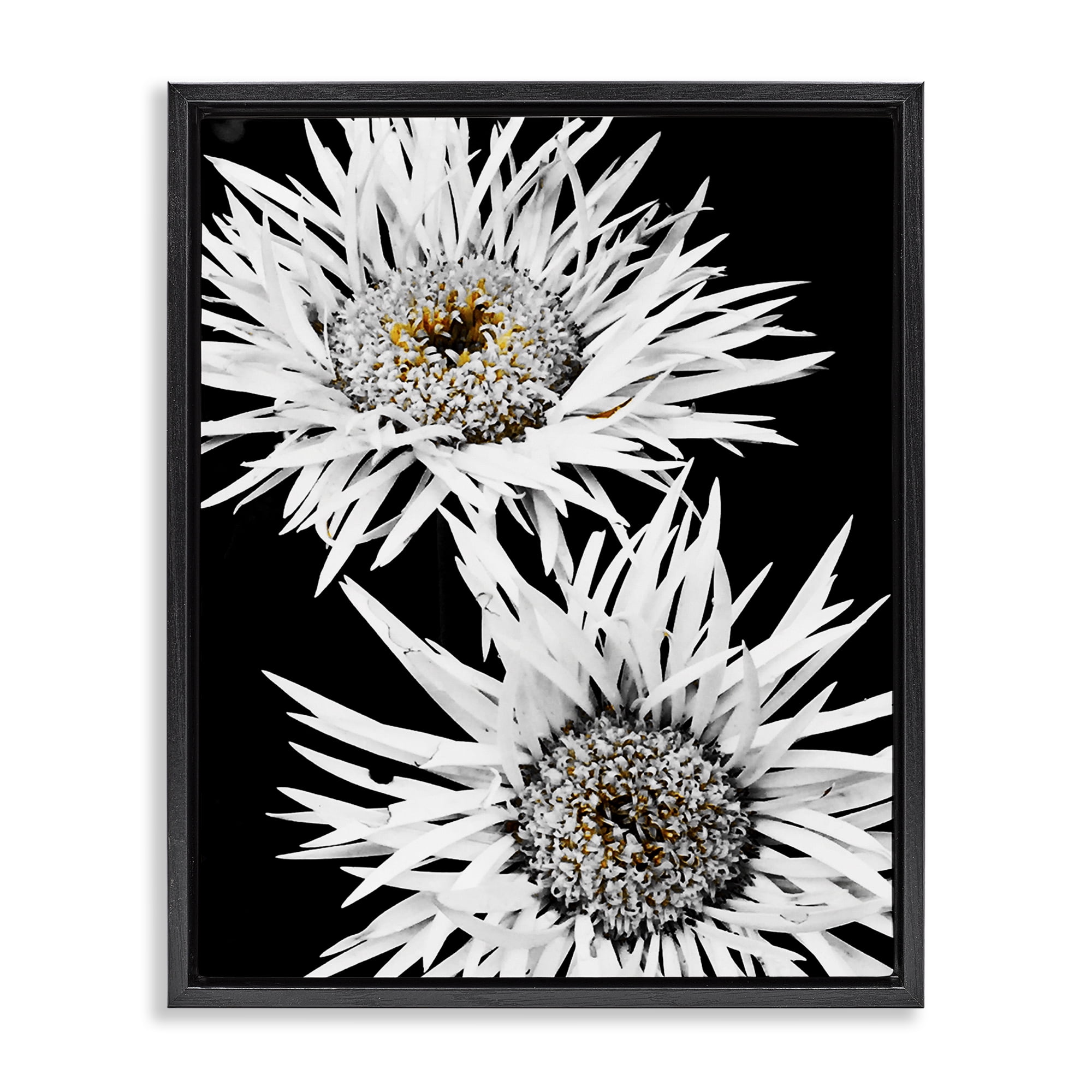 Stupell Industries Bold Contrast Flower Buds Plants & Flowers Painting Black Floater Framed Canvas Art Print Wall Art, 25 x 31