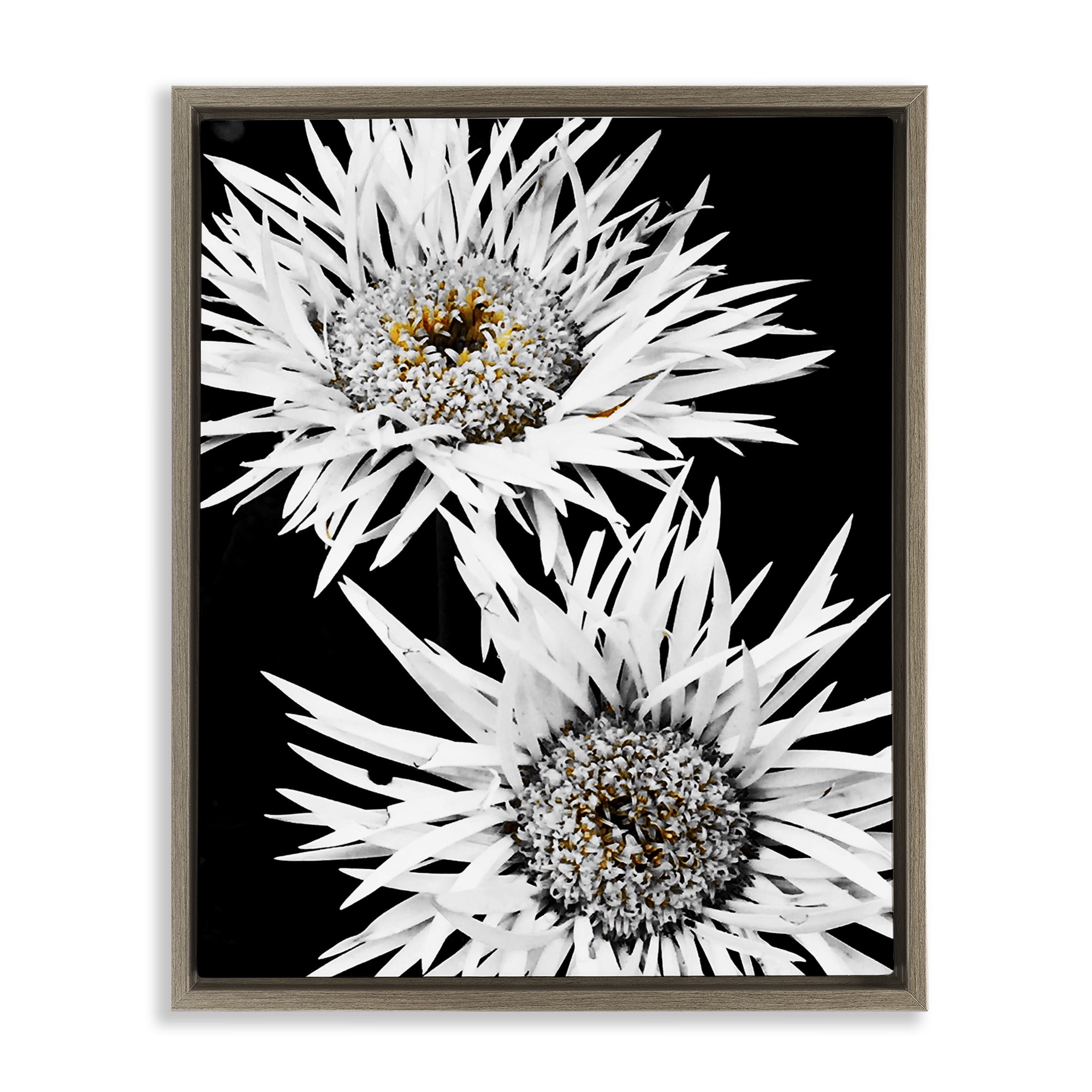 Stupell Industries Bold Contrast Flower Buds Plants & Flowers Painting Brown Floater Framed Canvas Art Print Wall Art, 25 x 31