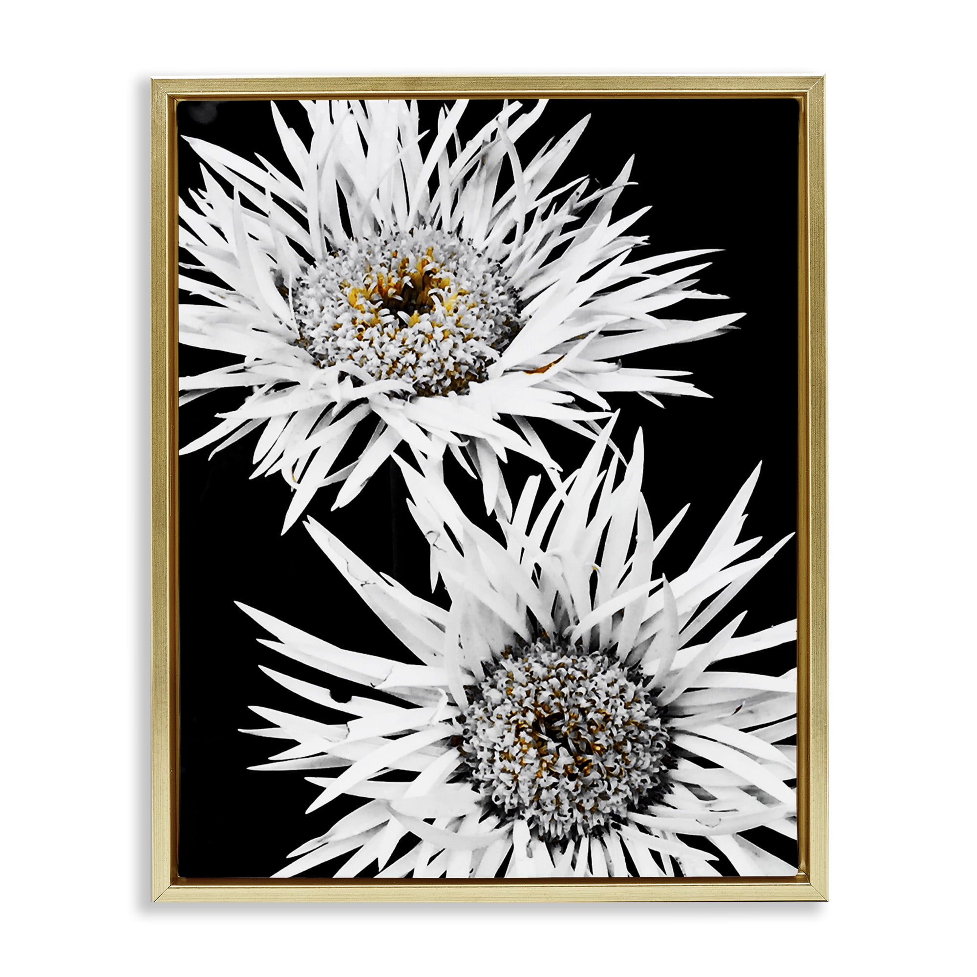 Stupell Industries Bold Contrast Flower Buds Plants & Flowers Painting Gold Floater Framed Canvas Art Print Wall Art, 17 x 21