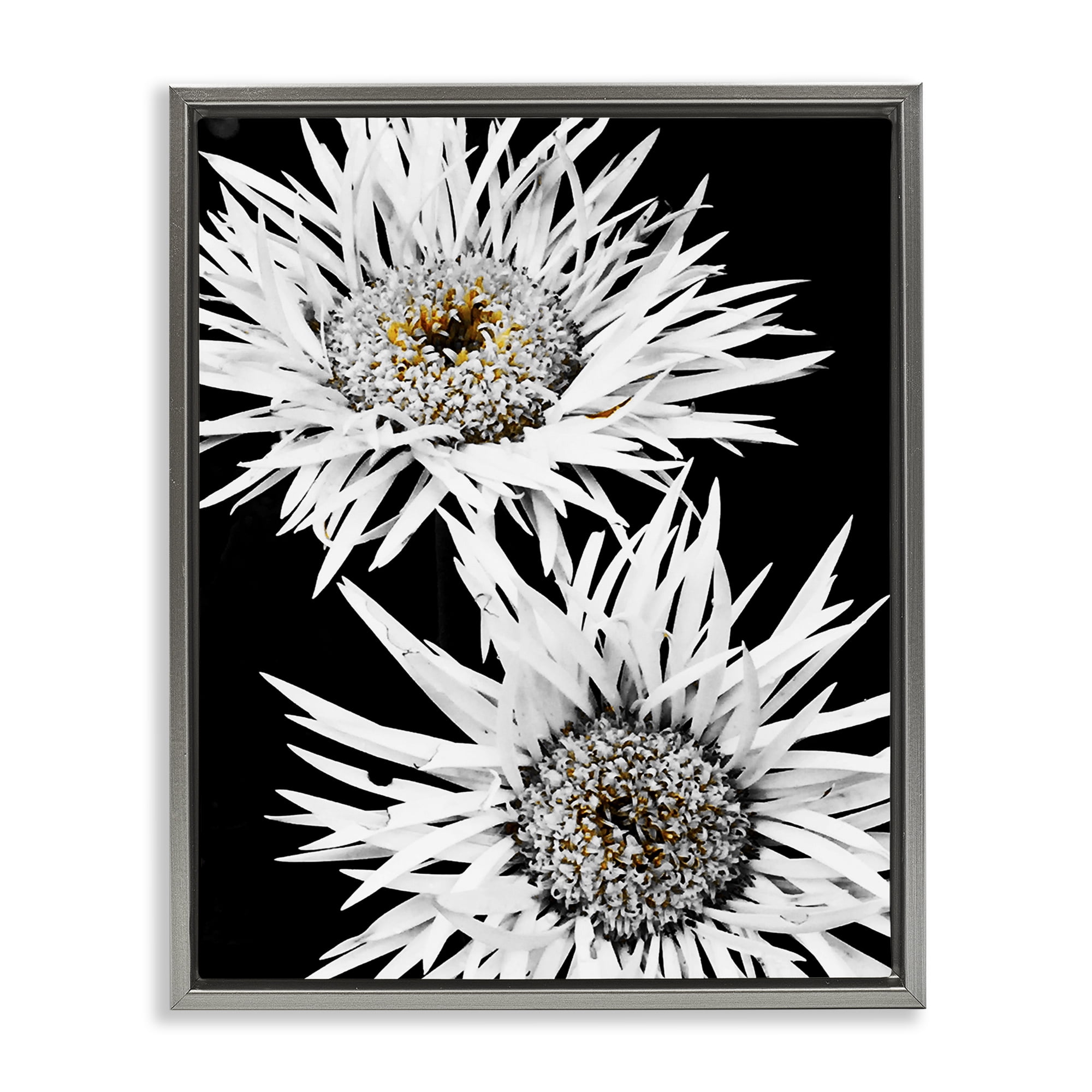 Stupell Industries Bold Contrast Flower Buds Plants & Flowers Painting Gray Floater Framed Canvas Art Print Wall Art, 17 x 21