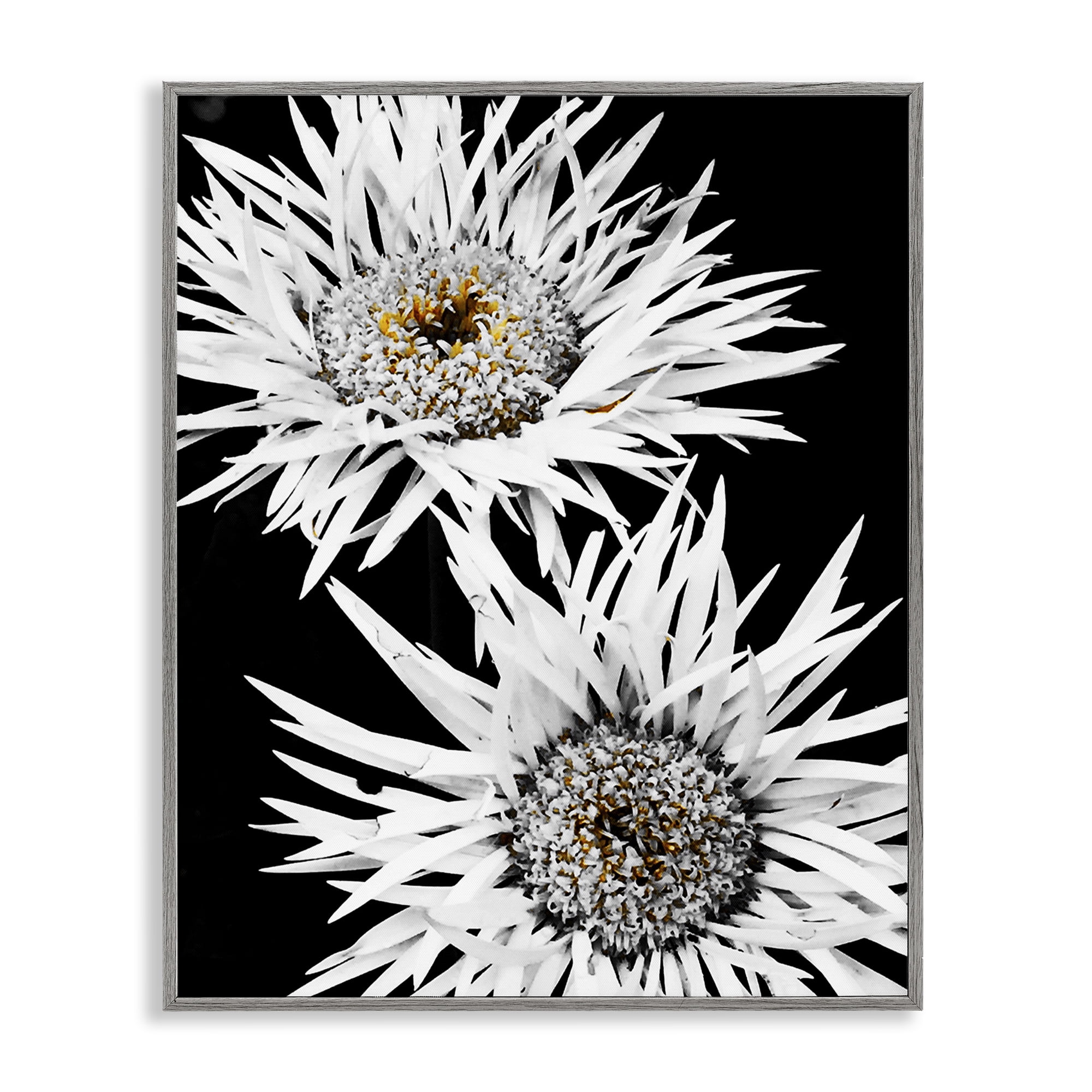 Stupell Industries Bold Contrast Flower Buds Plants & Flowers Painting Gray Framed Art Print Wall Art, 24 x 30
